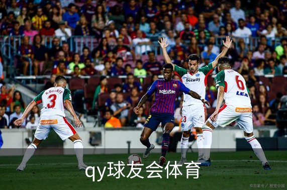 qy球友会体育品牌故事